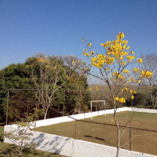 Campo de Futebol