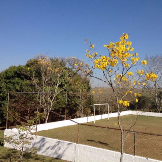 Campo de Futebol